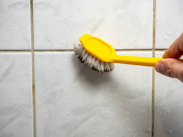 Best Certified Mold Removal  in Flower Mound, TX