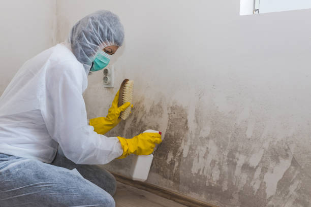 Best Emergency Mold Removal  in Flower Mound, TX