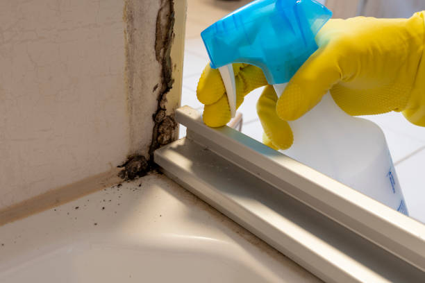Best Attic Mold Removal  in Flower Mound, TX